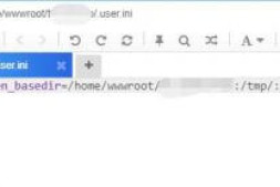 【lnmp1.6】删除网站目录下.user.ini无法删除,防跨目录设置设置教程