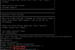 在免费服务器euserv上安装LNMP环境攻略